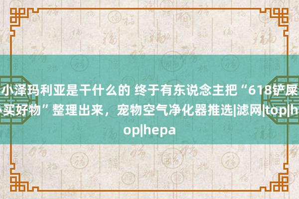 小泽玛利亚是干什么的 终于有东说念主把“618铲屎官必买好物”整理出来，宠物空气净化器推选|滤网|top|hepa