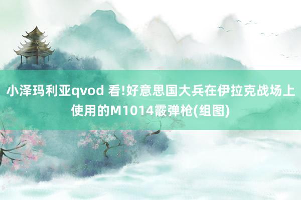 小泽玛利亚qvod 看!好意思国大兵在伊拉克战场上使用的M1014霰弹枪(组图)