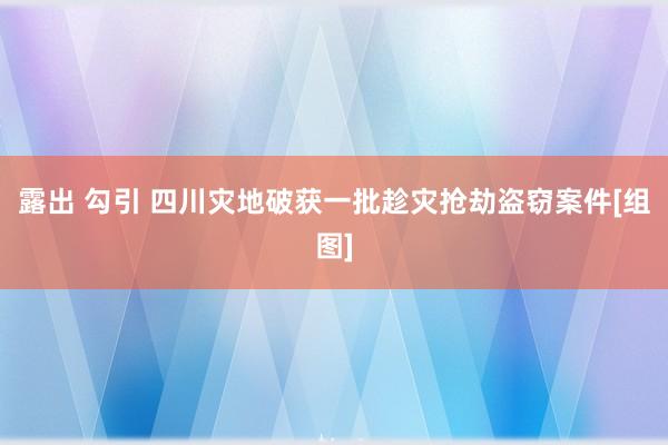 露出 勾引 四川灾地破获一批趁灾抢劫盗窃案件[组图]