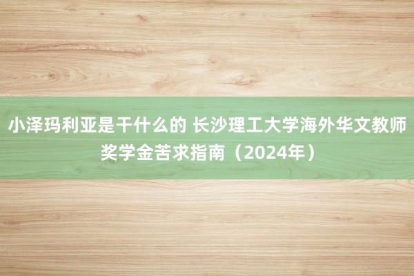 小泽玛利亚是干什么的 长沙理工大学海外华文教师奖学金苦求指南（2024年）