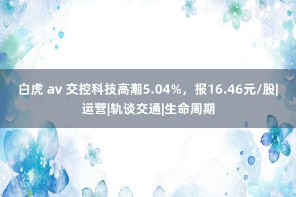 白虎 av 交控科技高潮5.04%，报16.46元/股|运营|轨谈交通|生命周期