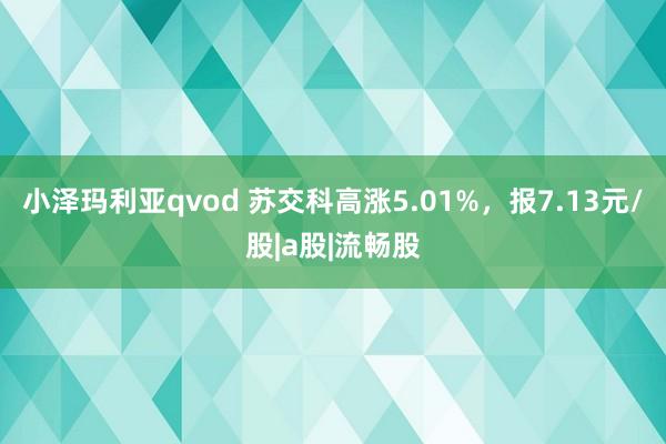 小泽玛利亚qvod 苏交科高涨5.01%，报7.13元/股|a股|流畅股