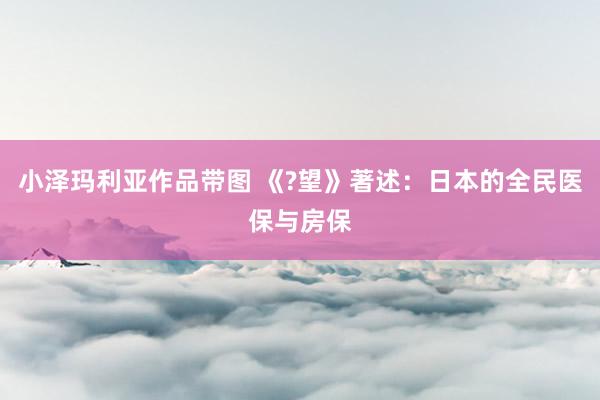小泽玛利亚作品带图 《?望》著述：日本的全民医保与房保