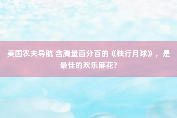 美国农夫导航 含腾量百分百的《独行月球》，是最佳的欢乐麻花?