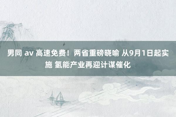 男同 av 高速免费！两省重磅晓喻 从9月1日起实施 氢能产业再迎计谋催化
