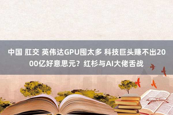 中国 肛交 英伟达GPU囤太多 科技巨头赚不出2000亿好意思元？红杉与AI大佬舌战