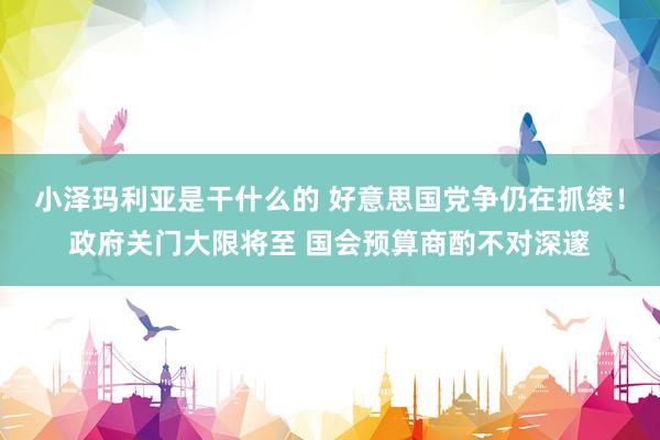 小泽玛利亚是干什么的 好意思国党争仍在抓续！政府关门大限将至 国会预算商酌不对深邃