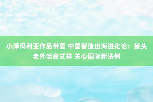 小泽玛利亚作品带图 中国智造出海进化论：接头老外活命式样 关心国际新法例