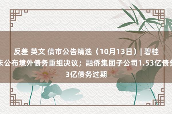 反差 英文 债市公告精选（10月13日）| 碧桂园仍未公布境外债务重组决议；融侨集团子公司1.53亿债务过期