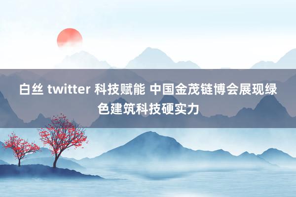 白丝 twitter 科技赋能 中国金茂链博会展现绿色建筑科技硬实力