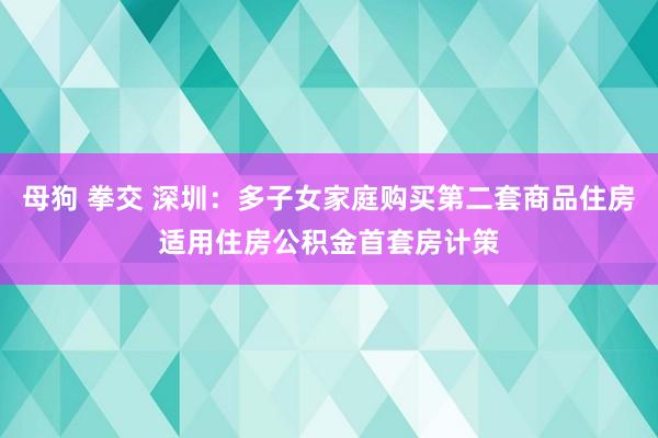 母狗 拳交 深圳：多子女家庭购买第二套商品住房适用住房公积金首套房计策