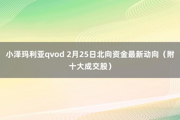 小泽玛利亚qvod 2月25日北向资金最新动向（附十大成交股）