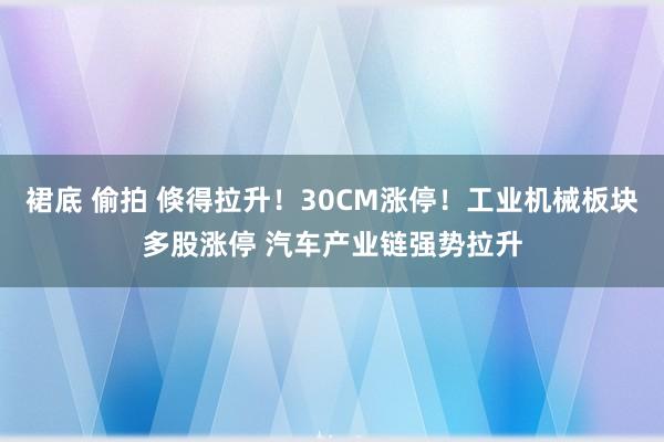 裙底 偷拍 倏得拉升！30CM涨停！工业机械板块多股涨停 汽车产业链强势拉升