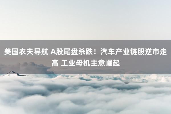 美国农夫导航 A股尾盘杀跌！汽车产业链股逆市走高 工业母机主意崛起