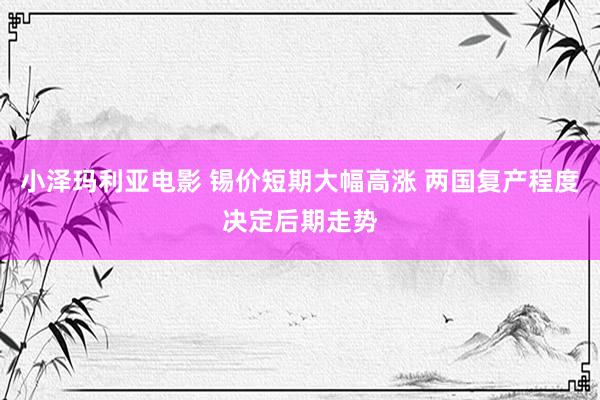 小泽玛利亚电影 锡价短期大幅高涨 两国复产程度决定后期走势