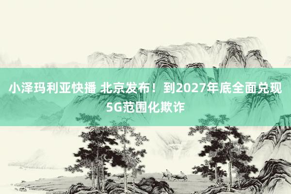 小泽玛利亚快播 北京发布！到2027年底全面兑现5G范围化欺诈