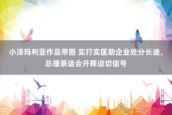 小泽玛利亚作品带图 实打实匡助企业处分长途，总理茶话会开释迫切信号