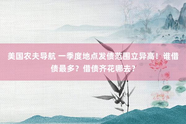 美国农夫导航 一季度地点发债范围立异高！谁借债最多？借债齐花哪去？